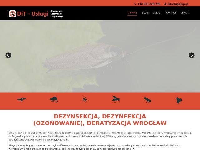 DiT-Usługi